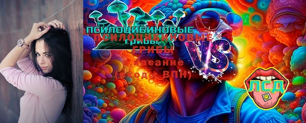 бошки Инсар