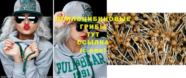бошки Инсар