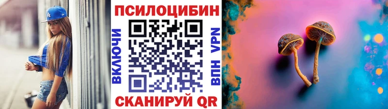 Псилоцибиновые грибы Cubensis  Купить  Дмитриев 